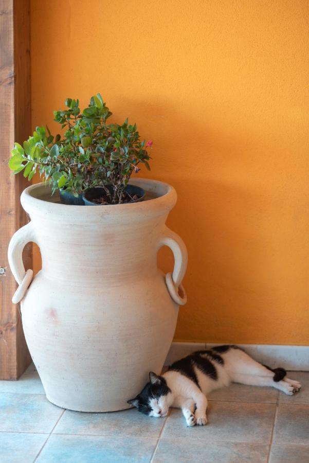 Cuaddus e Tellas Nuragus Esterno foto