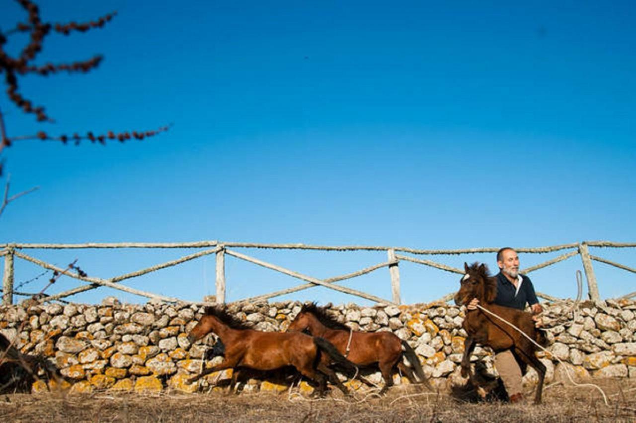 Cuaddus e Tellas Nuragus Esterno foto